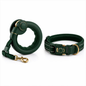 Regal Luxe Link Adjustable Dog Collar & Lead Set